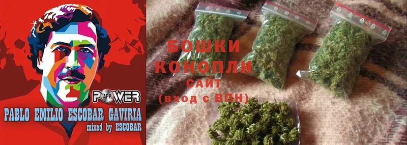 Бошки Шишки OG Kush  OMG ТОР  Медынь 